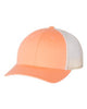 Richardson - Low Profile Trucker Cap (30+ available colors)
